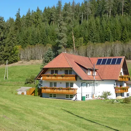 Fischer By Interhome Apartment Eisenbach (Breisgau-Hochschwarzwald)