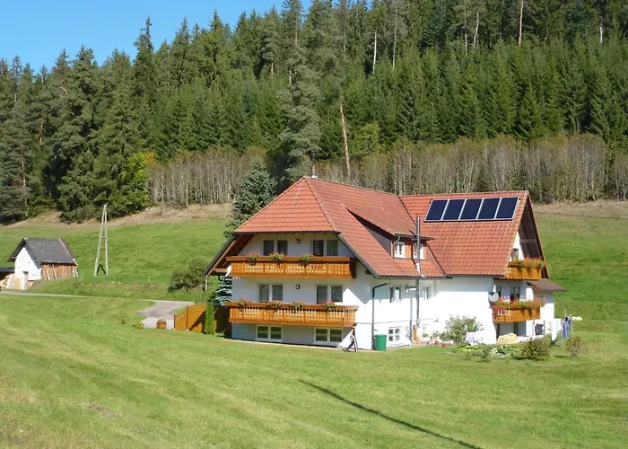 Fischer By Interhome Lejlighed Eisenbach (Breisgau-Hochschwarzwald)